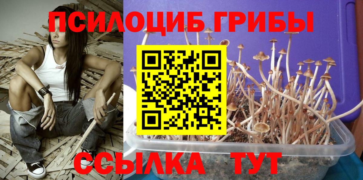 Галлюциногенные грибы MAGIC MUSHROOMS Ревда