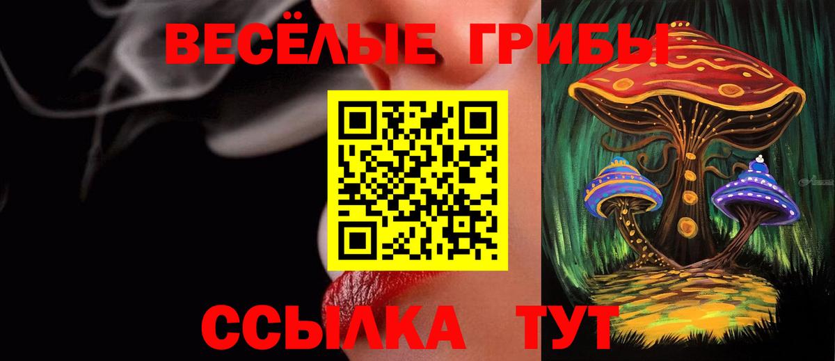 Галлюциногенные грибы ЛСД  Вход с VPN  Псилоцибиновые грибы MAGIC MUSHROOMS  Ревда 