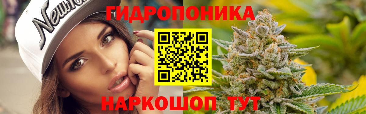 Бошки Шишки OG Kush  Конопля планчик  Ревда  Вход с VPN  Шишки марихуана ГИДРОПОН 